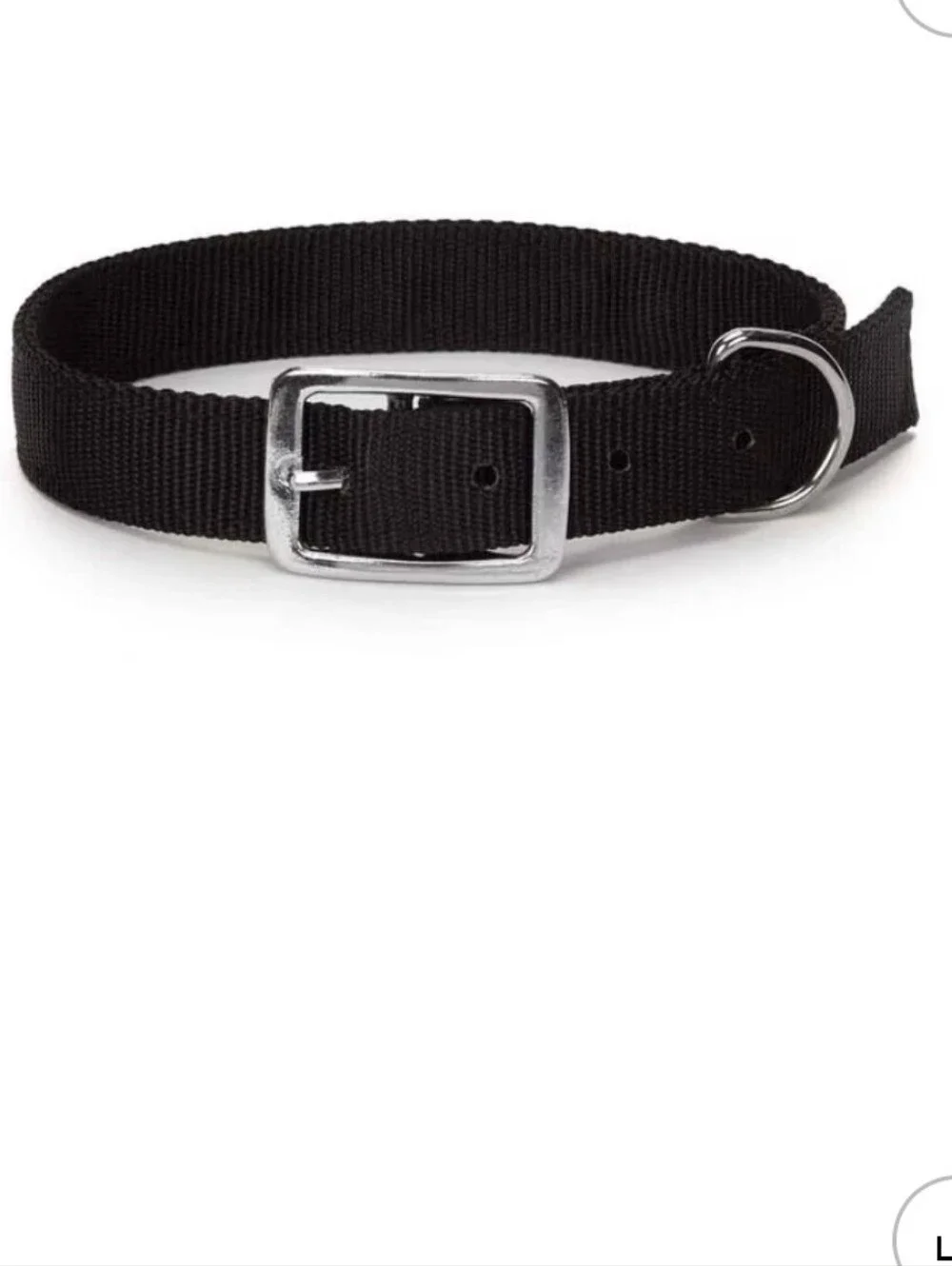 20 Inch Dog Collar with Metal D-Ring